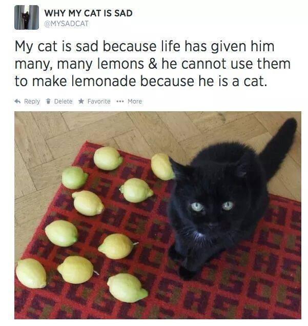 when life gives you lemons...