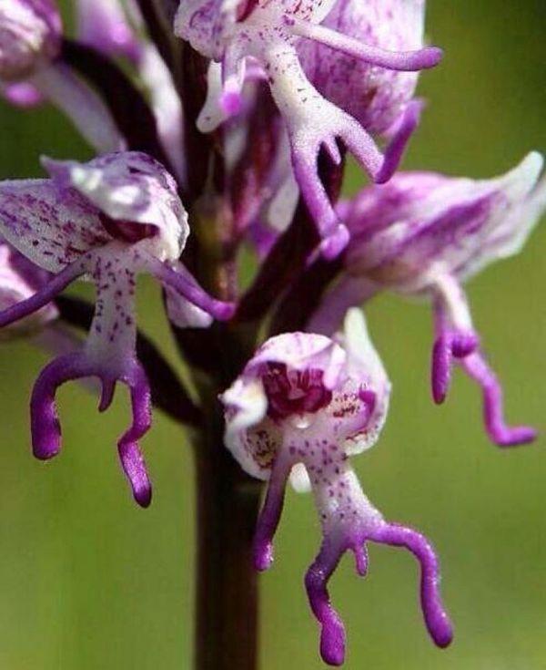 WTF Picture of the Day The WTF Of The DAY DailyFunFeed