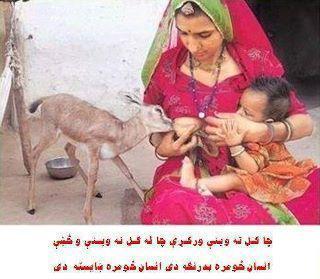 Mother is Soul of Universe