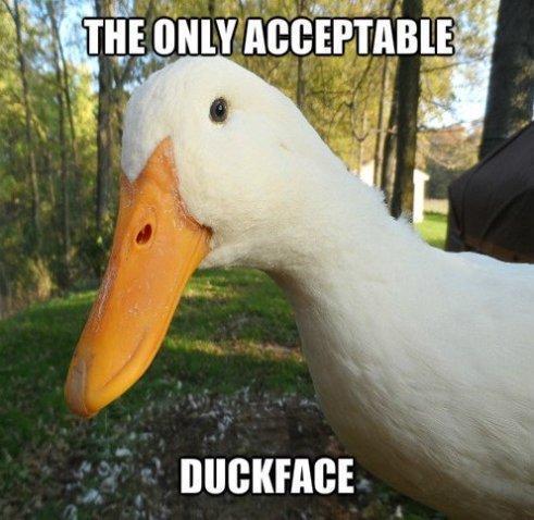 Funny Duckface