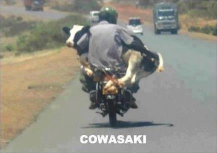 A bike for humans and their cattle
