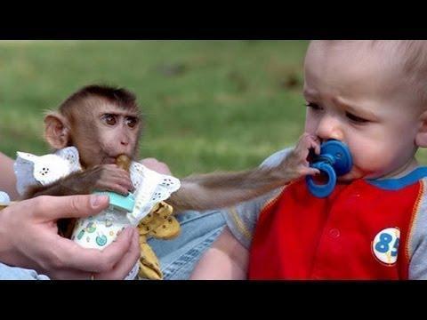 Funny Baby With Monkey