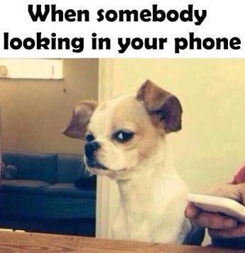 When Somebody Looking In Your Phone