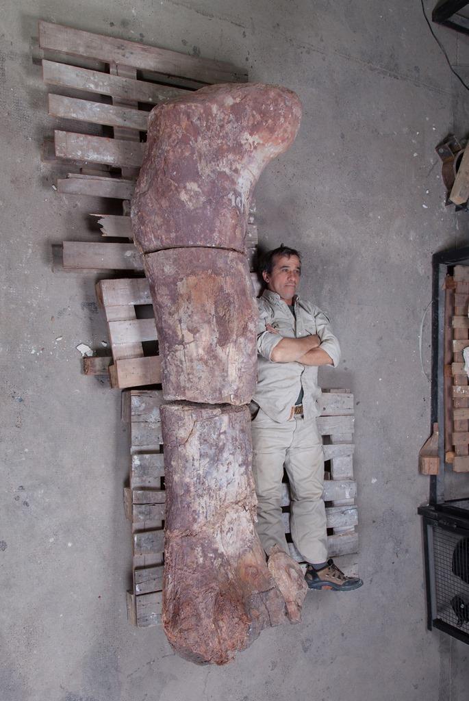World's Biggest Dinosaurs Bones found in Argentina