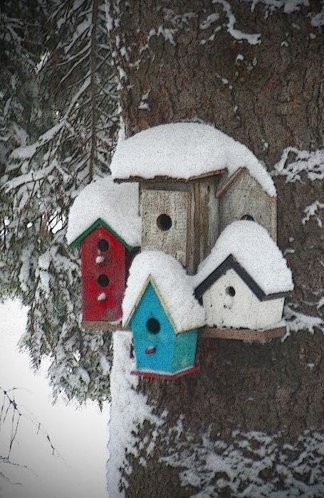 Winter Birdhouses Print by Octane Creative