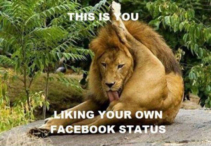 Facebook Own Like Status