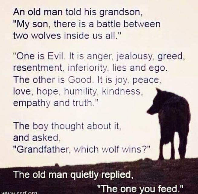 The story of the two wolves