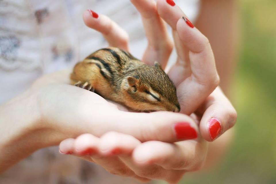 cutest photo i ever seen cutest photo i ever seen
