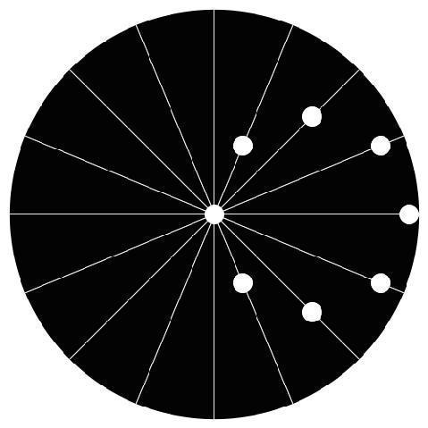 Each dot is moving in a straight line