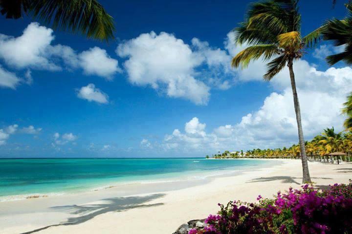 Who wants to be here in Antigua and Barbuda