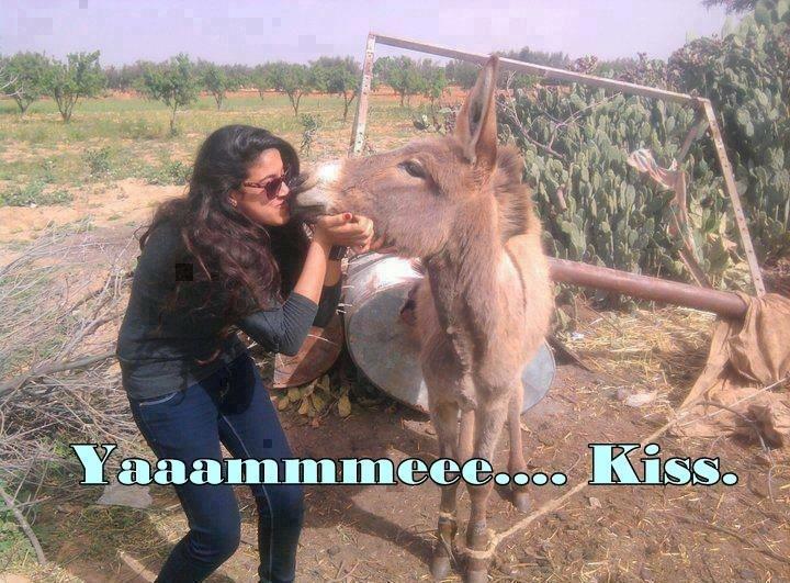 Crazy girl kissing donkey