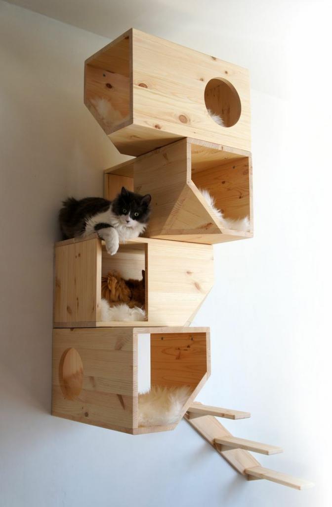 Cat House