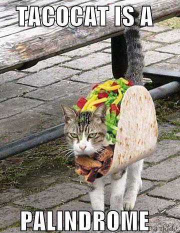 Tacocat is a palindrome