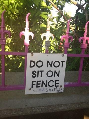 Didn't you SO want to sit on that fence It's only the sign that stop
