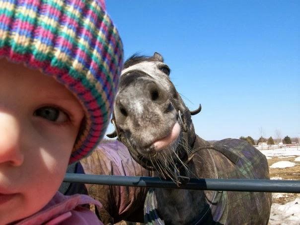 Funny animals taking selfies with humans
