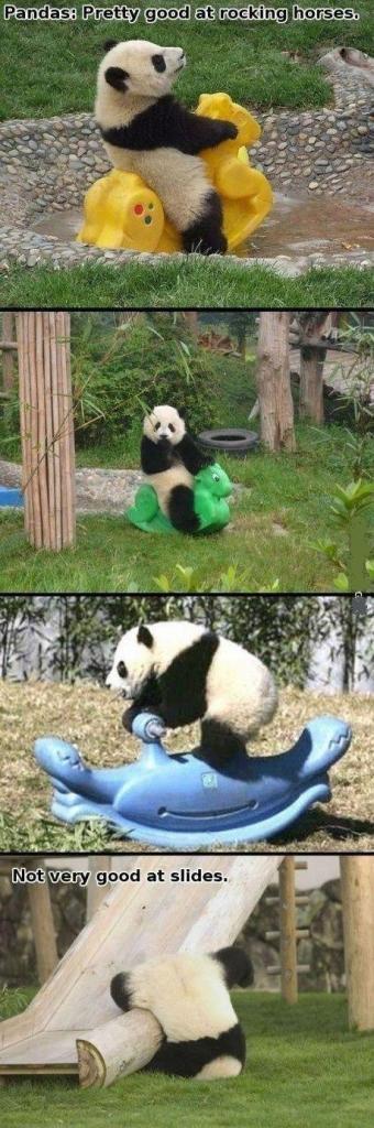 Pandas Not So Good at Slides