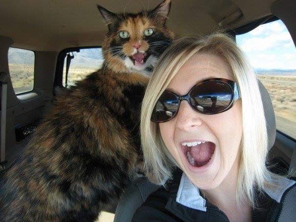 My wife's cat of 19 years was put down today. This photo pretty much 