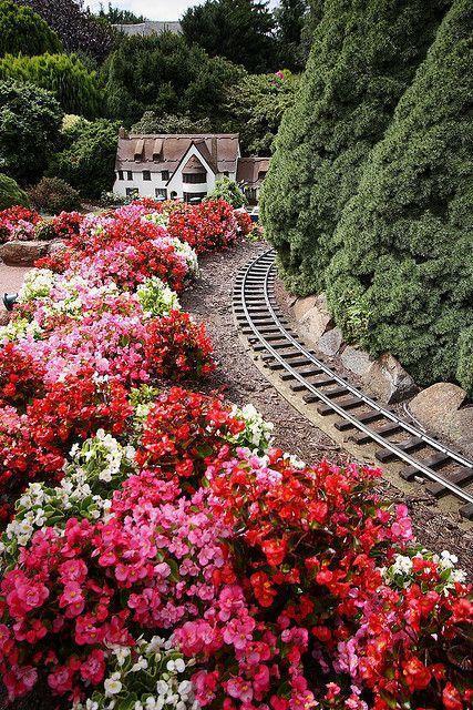 Garden railway...