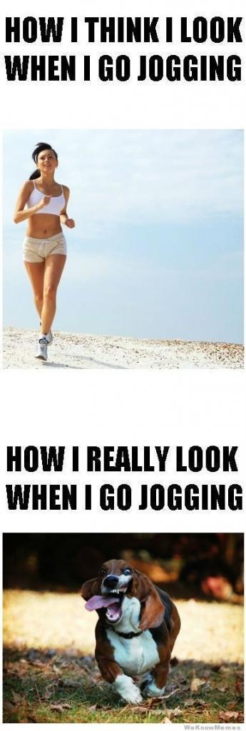 And THAT'S why I don't Run.......